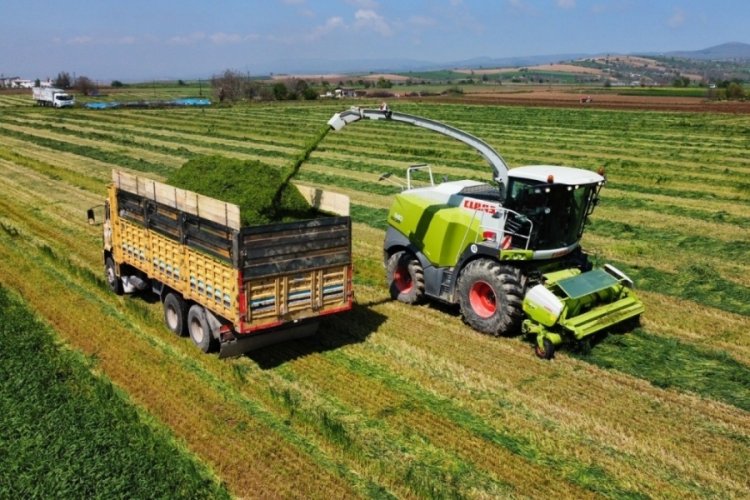 Bursa’da üreticiler hasat için sahaya indi