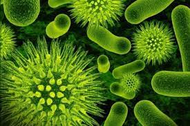 Bakteriler bazı hastalıkların tedavisinde kullanılabilir!