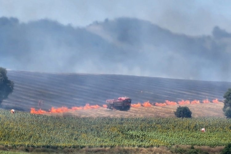 Buğday tarlasında yangın! Alevler rüzgarın etkisiyle büyüyor
