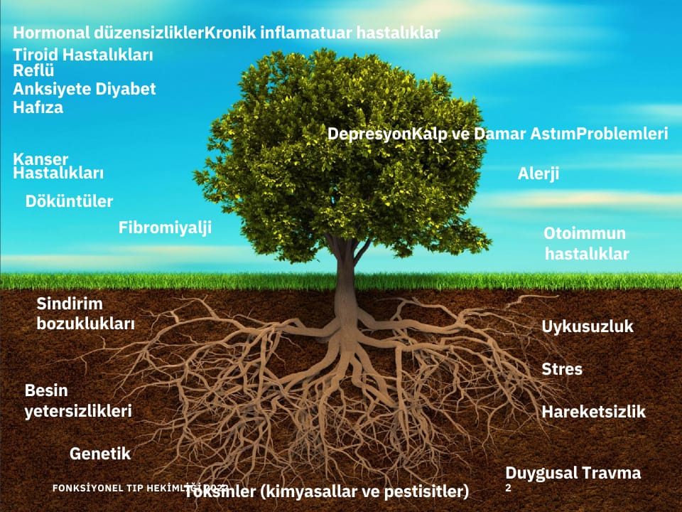Fonksiyonel Tıp – 2