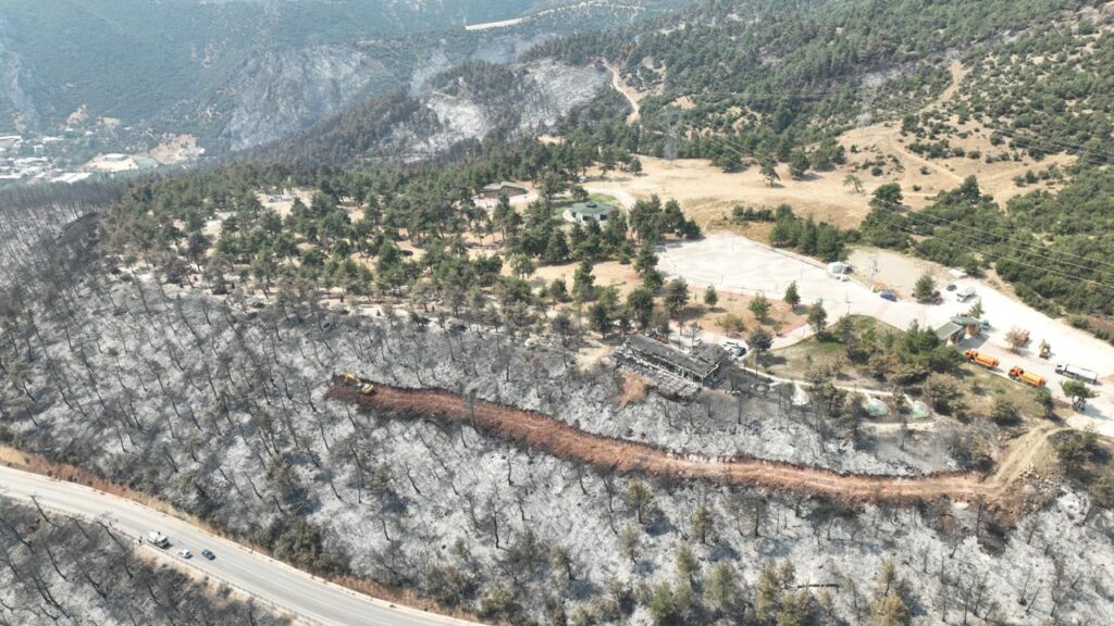 Gürsu’nun Yeşil Akciğerleri Kül Oldu