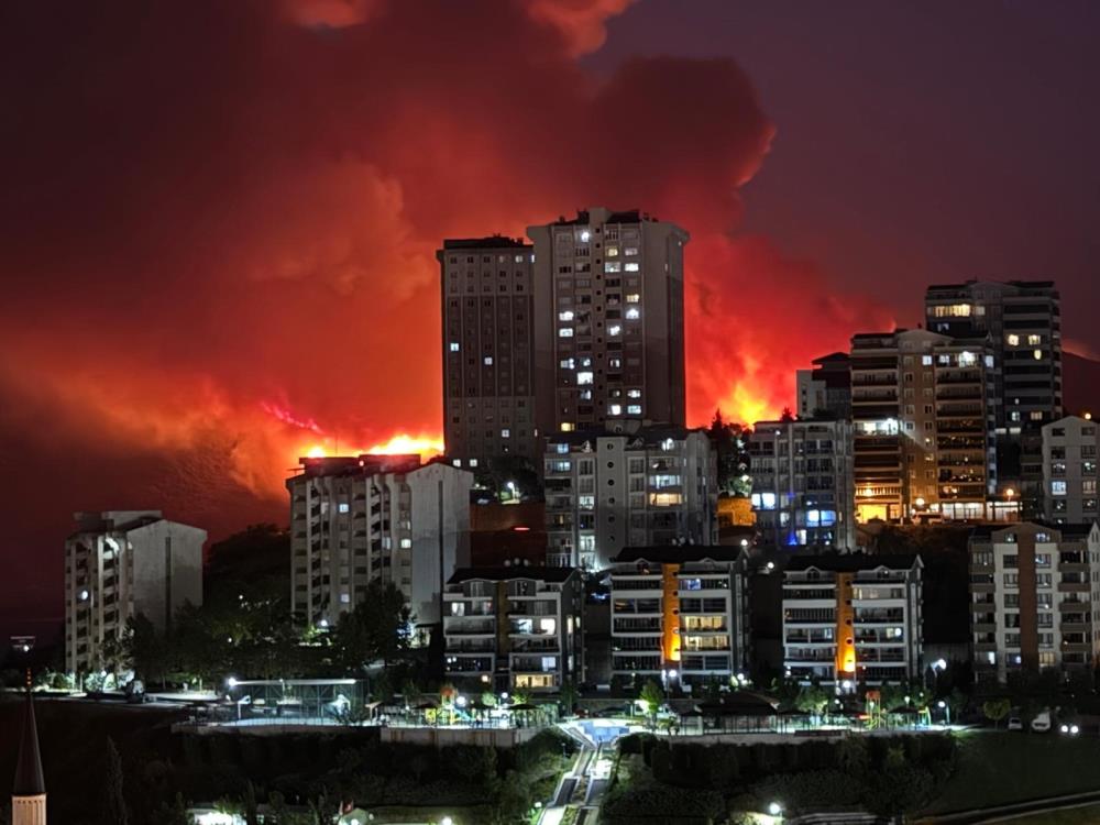 YANAN SADECE AĞAÇ DEĞİL, VİCDANDIR