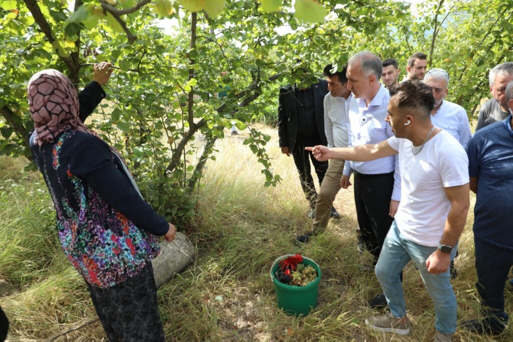 İnegöl’ün Fındığı Gündemde