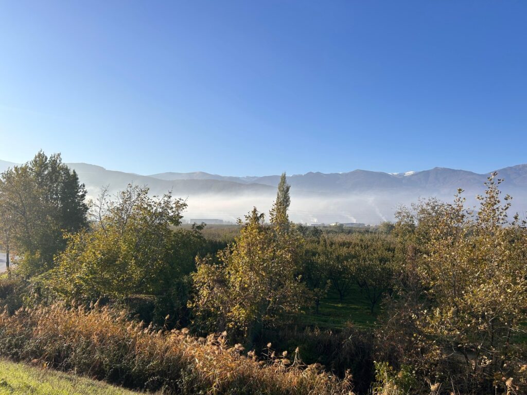 Vekillerden Acil Çağrı! Bursa’da Kritik Eşik Aşıldı