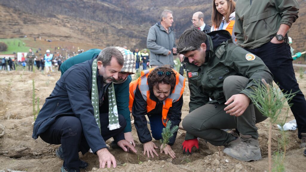 Yanan Ormanlar Yeniden Yeşil