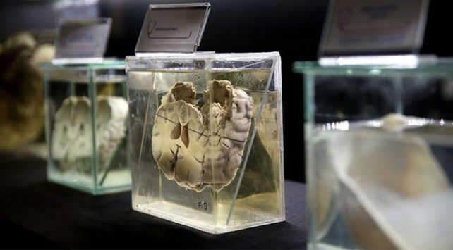 Bursa’nın Sağlık Hafızası Açılıyor