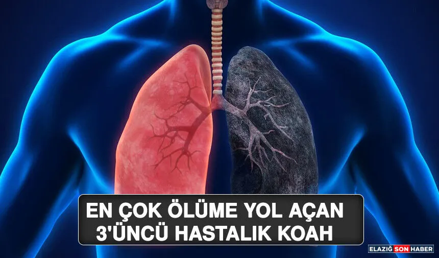 KOAH DÜNYADA 3’ÜNCÜ ÖLÜM NEDENİ