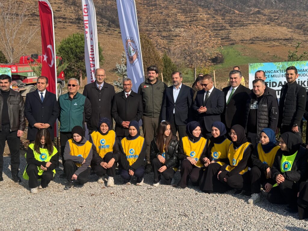 Gürsu’da Yanan Alanlar Yeşeriyor