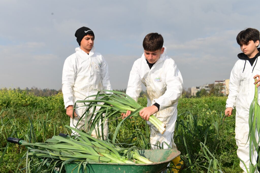 Bostandan Sofraya Doğal Lezzet