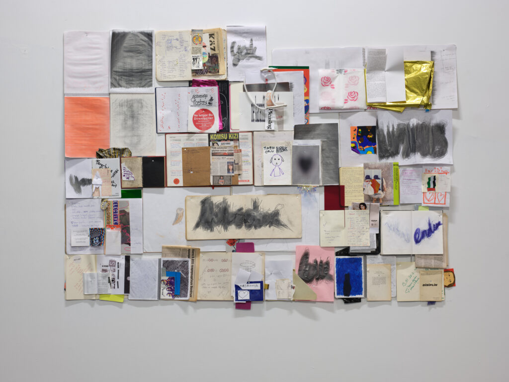 Banu Cennetoğlu Sergisi Bursa’da