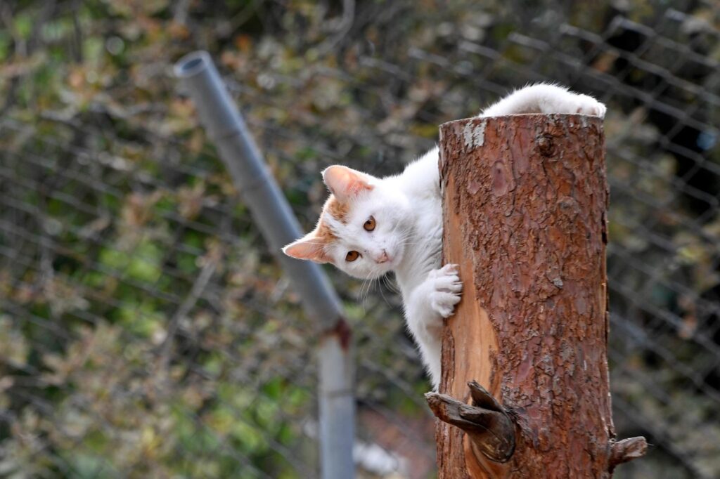 Dijital Sistemle Yuva Kuruldu