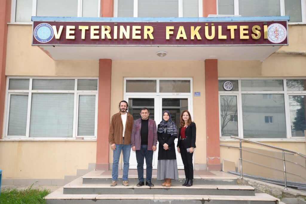 Doktora Tezinde Küresel Destek