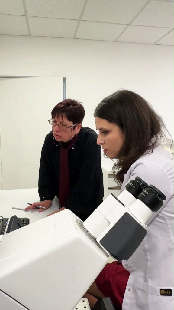 TÜBİTAK Destekli Küresel Vizyon