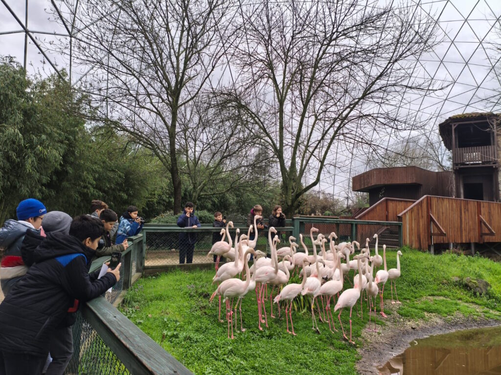 Minik Ellerden Bilimsel Kareler