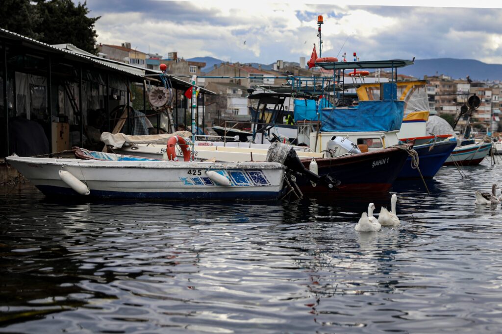 Bozbey’den Balıkçılara Yakıt Müjdesi