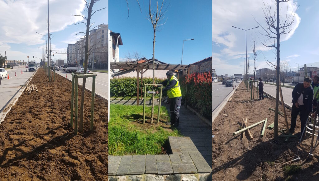 Bursa’nın Fethine Yeşil İmza