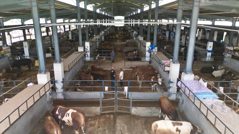 İnegöl’de Kurbanlık Hazırlığı Başladı