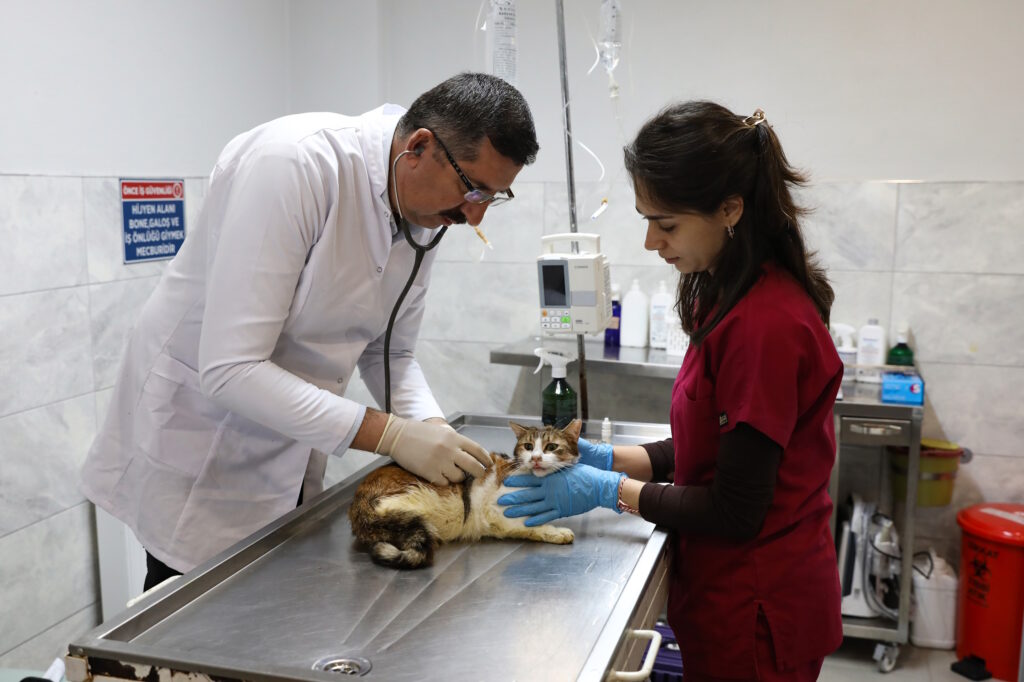 Yaralı Nefes Hayata Döndü