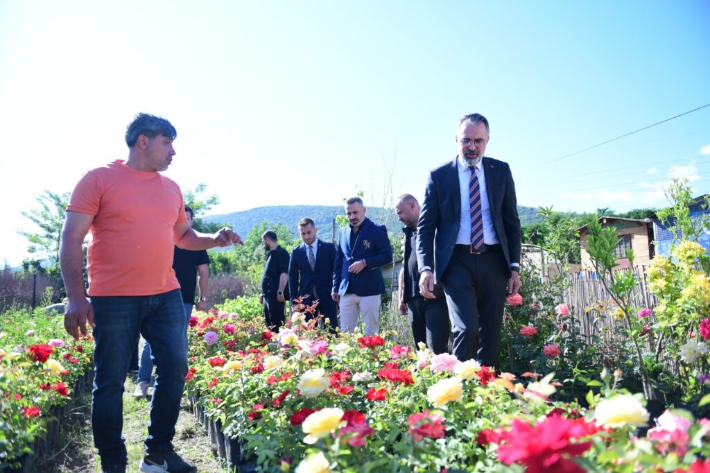 Kestel Dünyayı Süslemeye Hazır