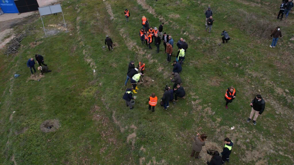 Üreten Orman, Kazanan Köylü