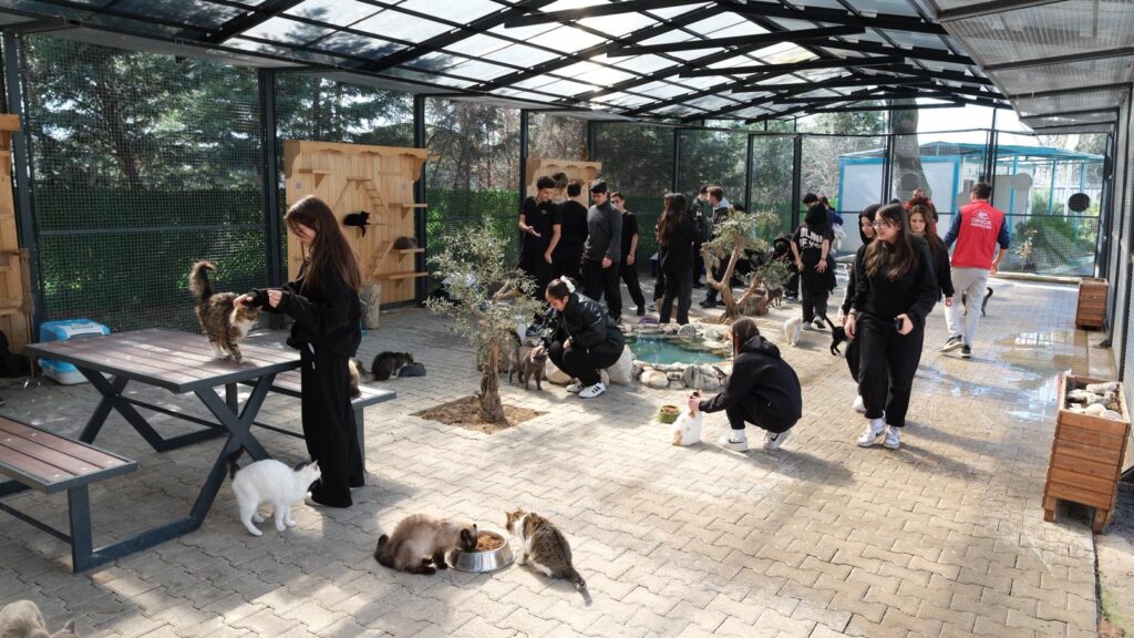 Gençlerden Patili Dostlara Ziyaret: Osmangazi Gençlik Merkezi Üyeleri Barınağı Gezdi