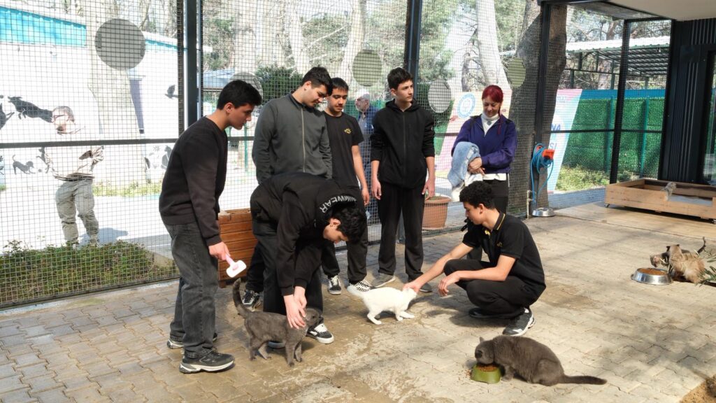 Yıldırım’da Patili Dostlara Ziyaret