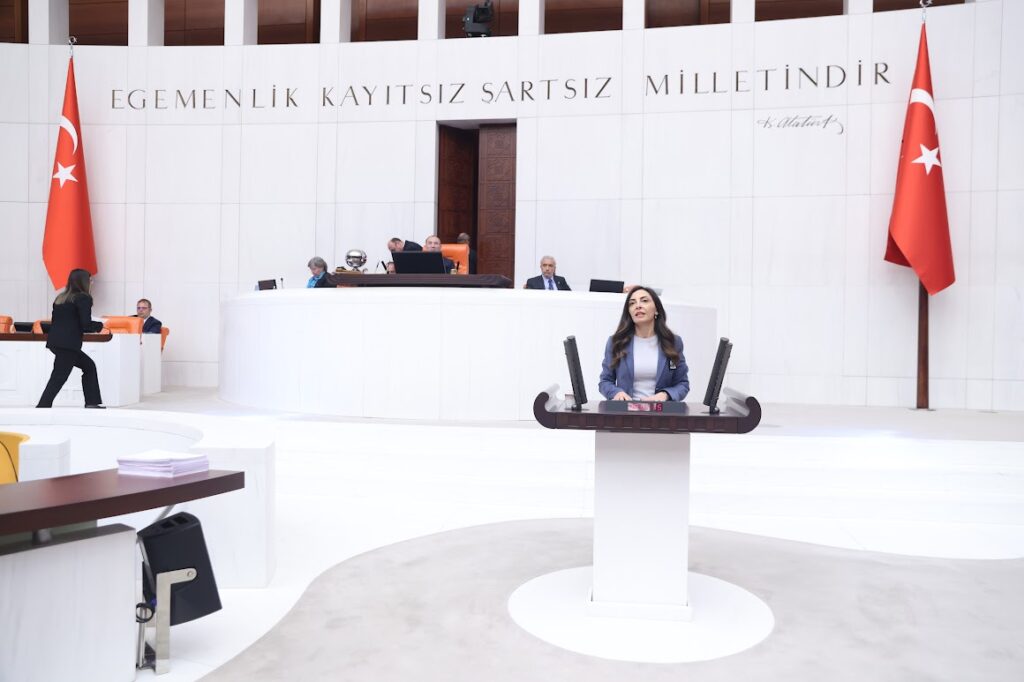 Dövizle Askerlik 8 Bin Euro: Gençler Vatandaşlıktan Vazgeçme Noktasında