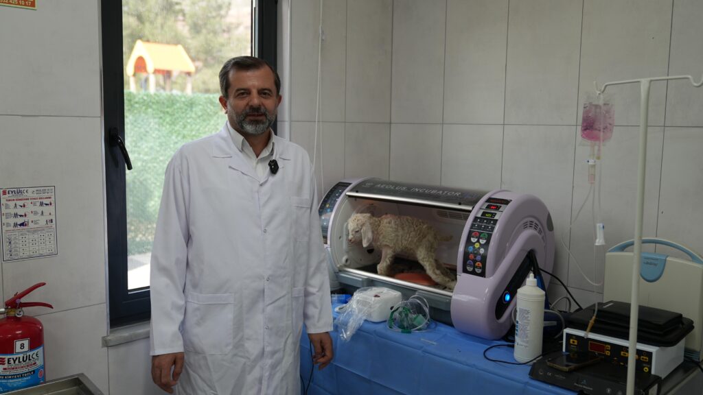 Gürsu’ya yeni hayvan bahçesi