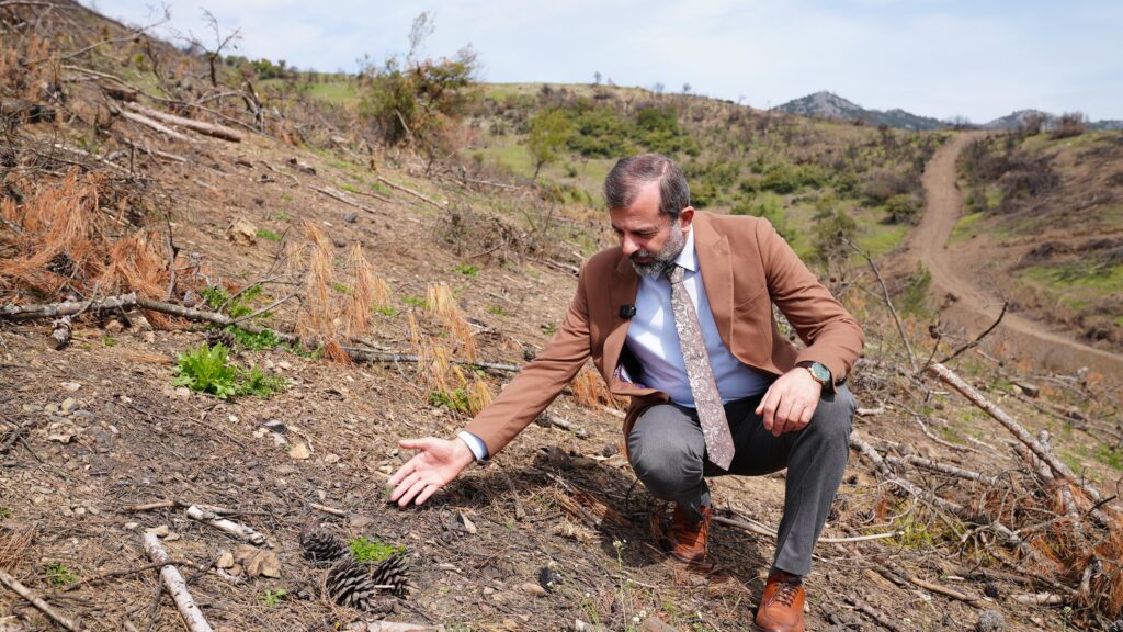 Atılan tohumlar meyvesini verdi