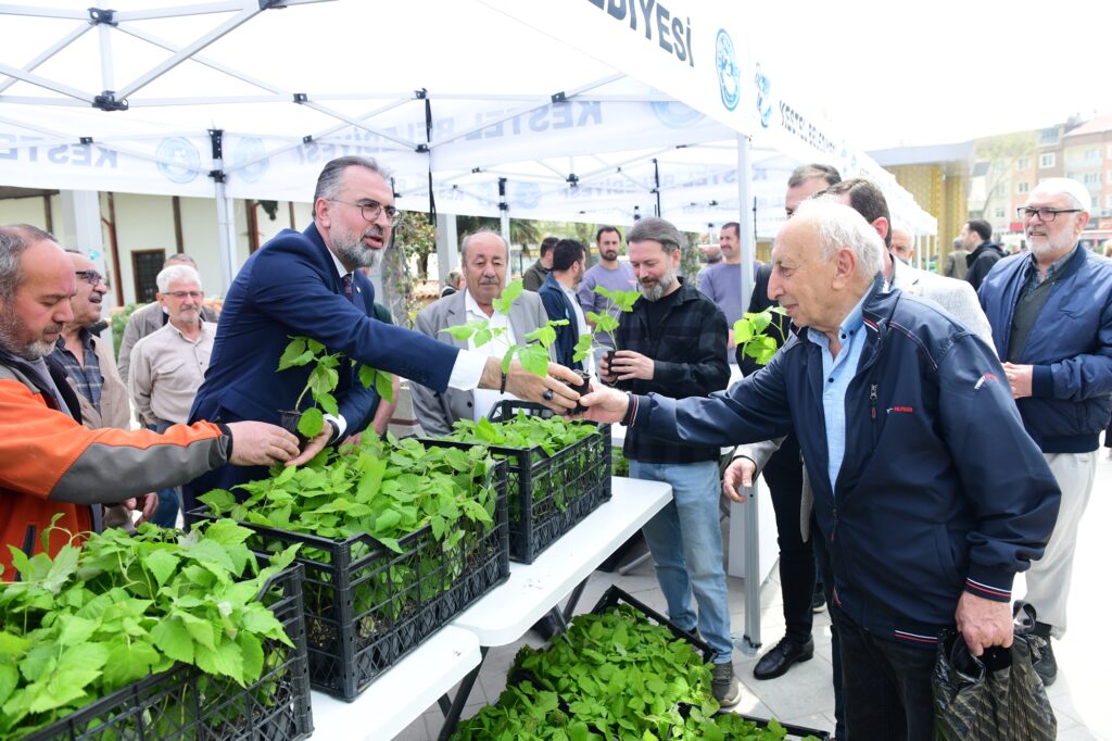 Kestel dünya markası oluyor