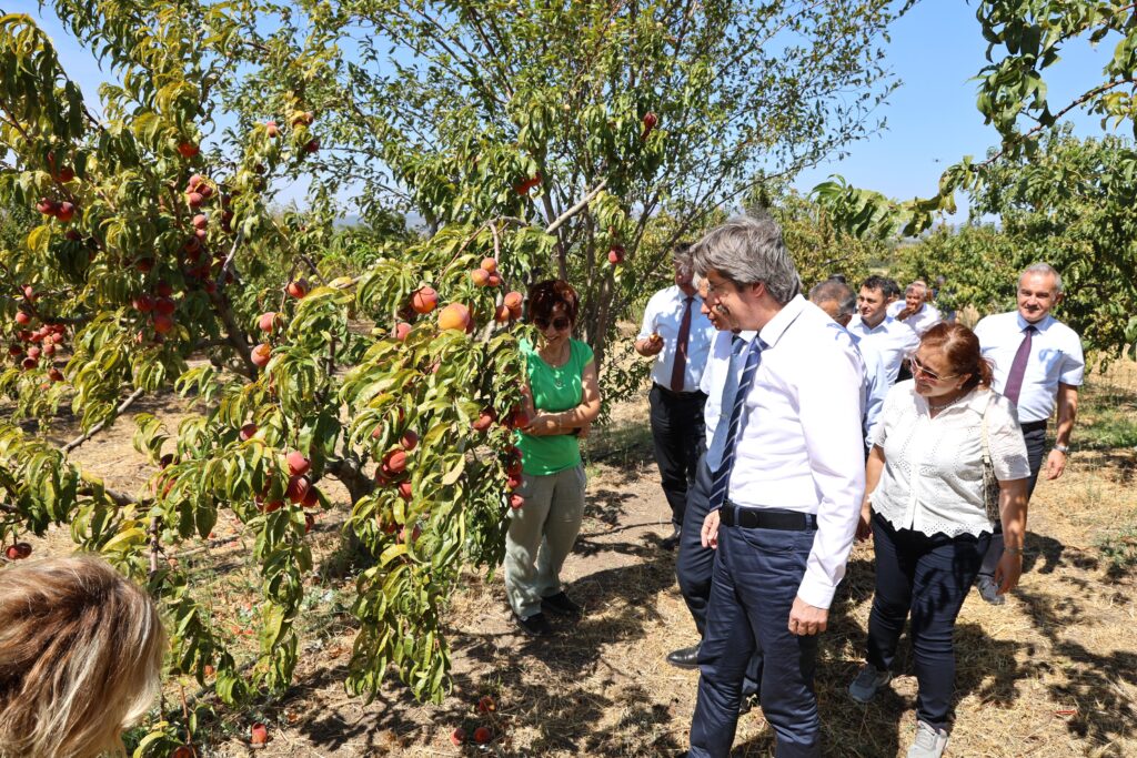 Ziraat alanında küresel başarı