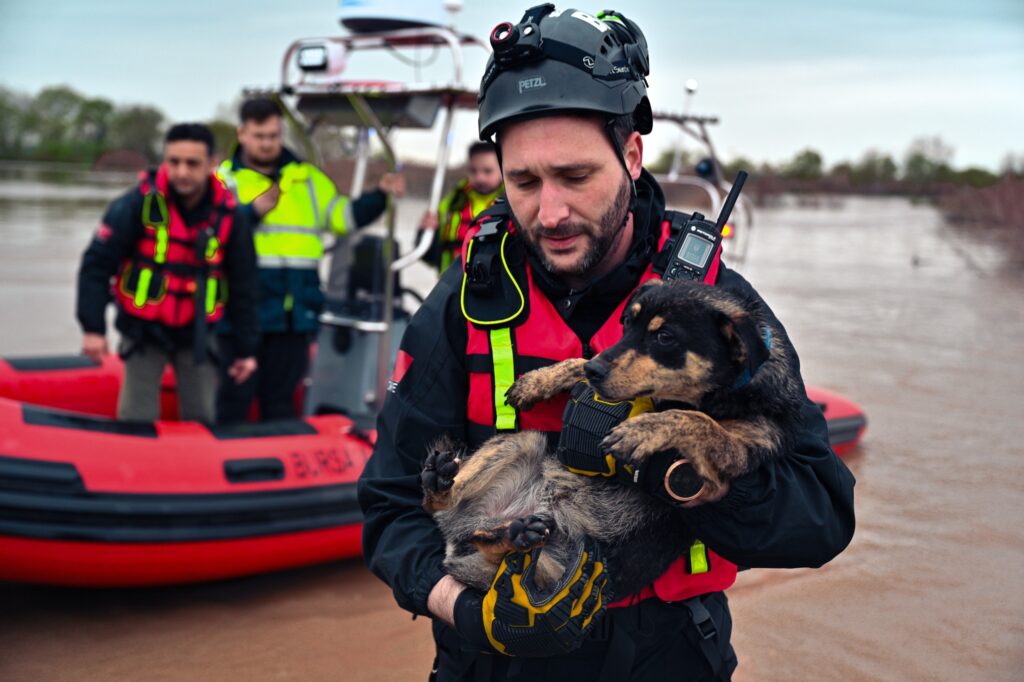 Afet işleri sahada devleşti