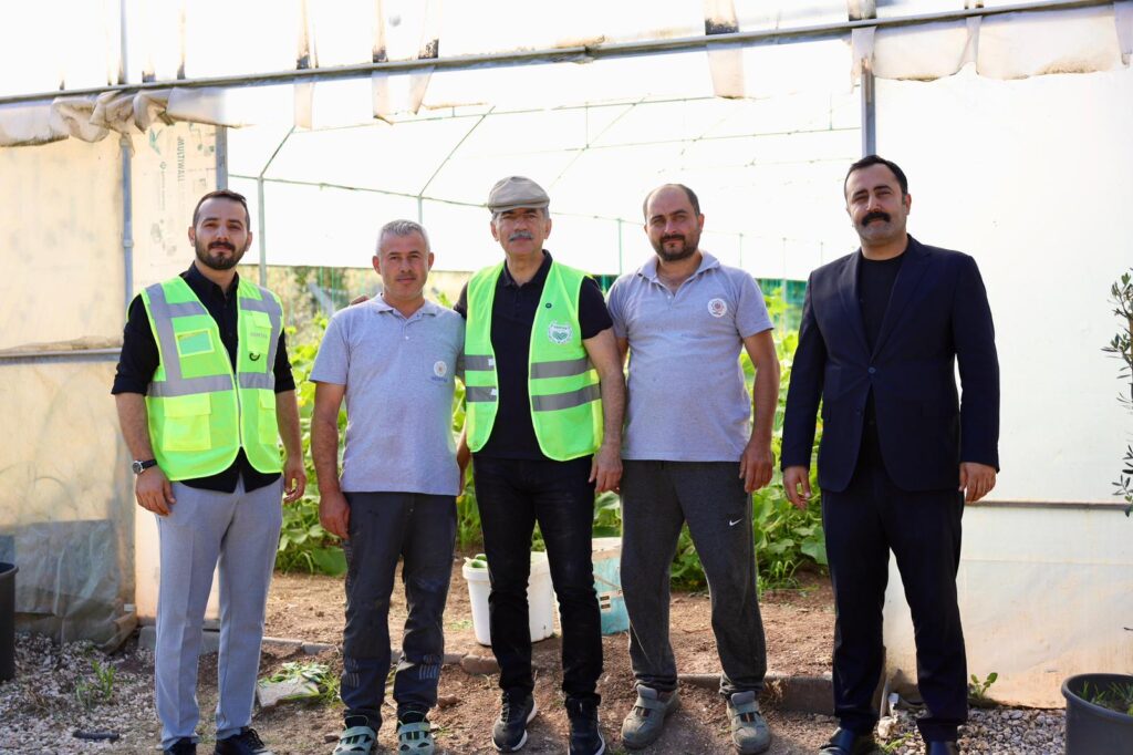 Gemlik’te seralar üretime başladı