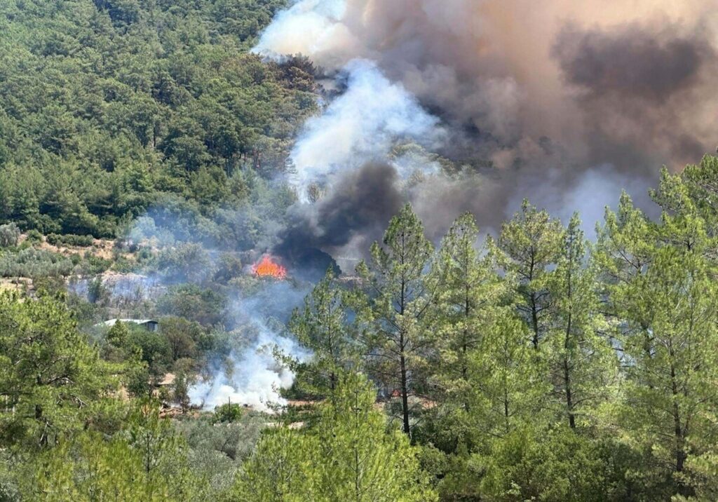 Ülke Genelinde Birden Çok Orman Yangını Çıktı