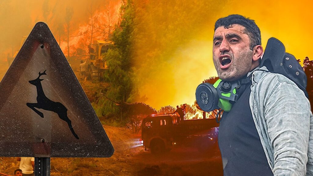 Akın Gürlek: Orman yangınlarında adli süreçler sürüyor