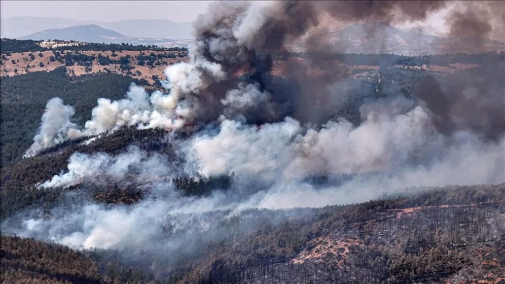 Bakan Gürlek: Orman Yangını Soruşturmalarında Son Durum