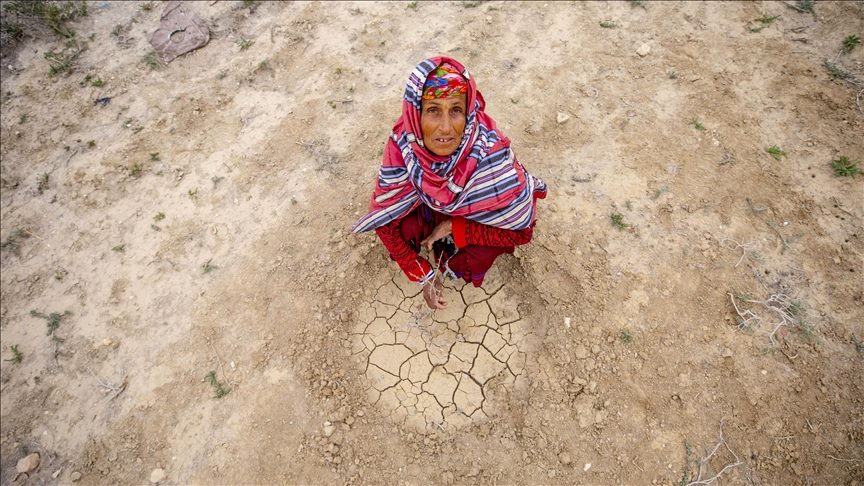 Batı Afrika için Bölgesel Karbon Piyasası Çağrısı