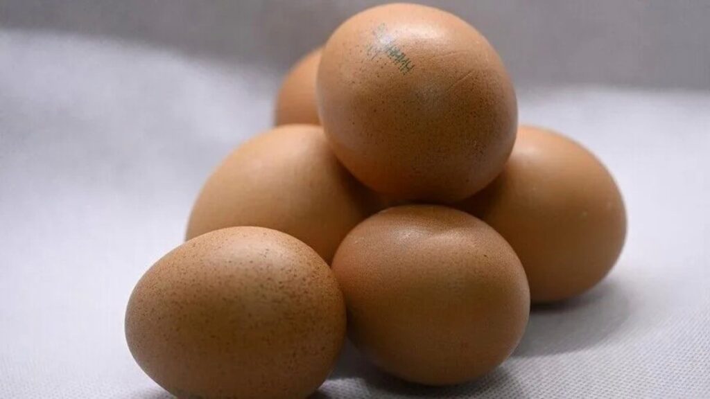 İngiltere’de Salmonella Vakalarında Artış Soruşturuluyor