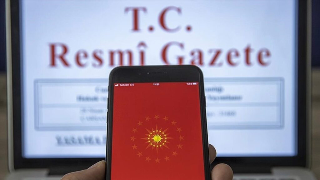 Yürütme, Yönetmelikler ve İlanlar