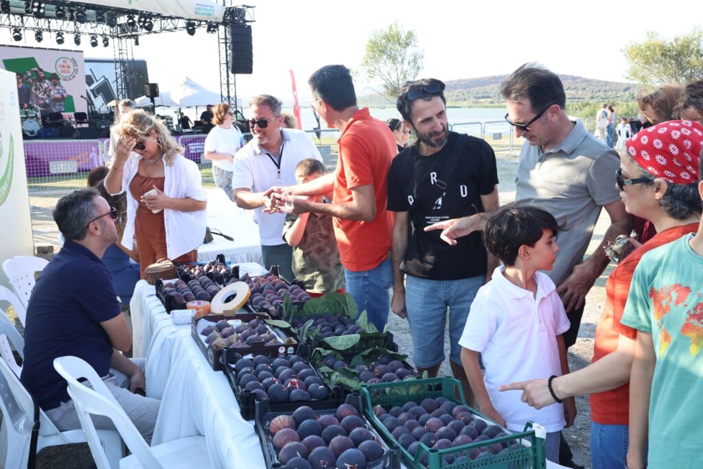 Göl kıyısında incir festivali