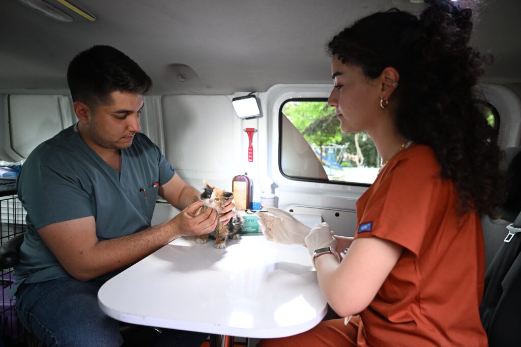 Yıldırım’ın şefkat aracı PATİVET