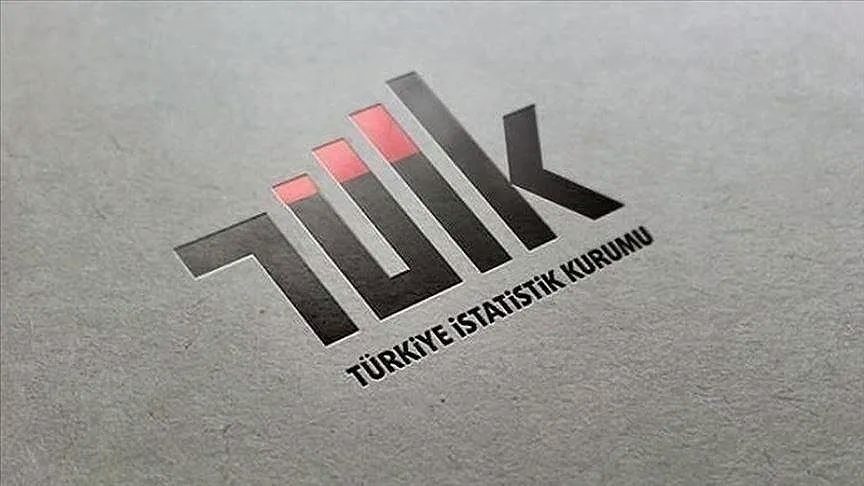 Türkiye’de yükseköğretim mezunlarında beyin göçü yüzde 2,2 oldu
