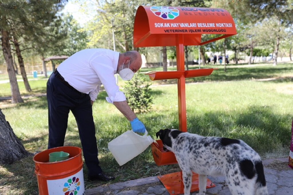 Kocasinan’da Kedi Kasabası kuruluyor