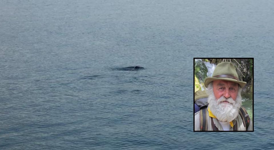 Muğla Fethiye’de fok balığı görenleri heyecanlandırdı