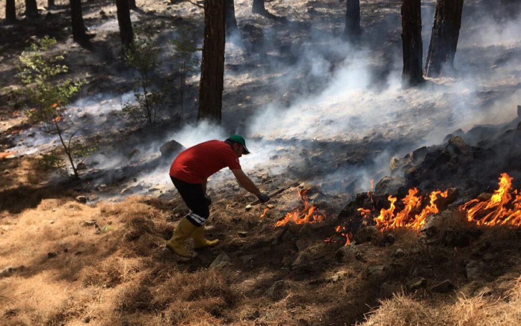 Türkiye’deki orman yangınlarında yeni risk