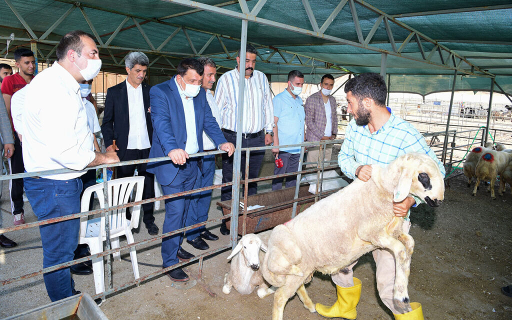 Malatya’da canlı hayvan pazarına ziyaret