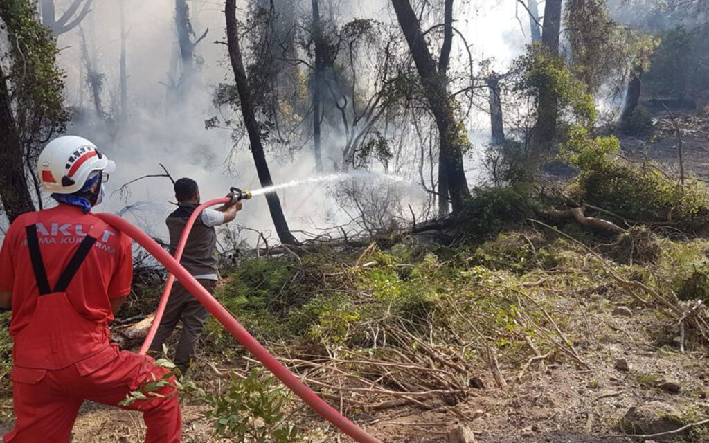 AKUT, Akdeniz yangınında 250’yi aşkın cana destek oldu