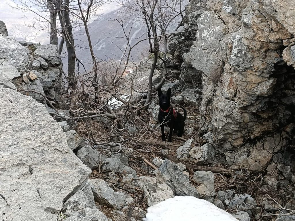 Siirt-Bitlis sınırında iki patlayıcı imha edildi