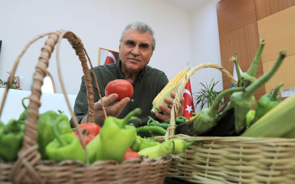 Sakarya’da Ata tohumlarından ilk mahsuller