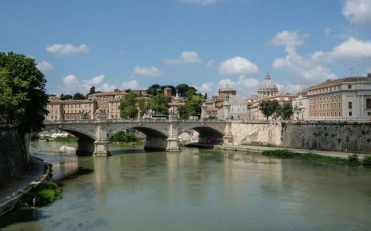 Roma Tiber Nehri’nde binlerce ölü balık